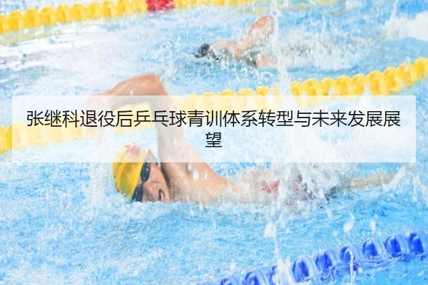 张继科退役后乒乓球青训体系转型与未来发展展望